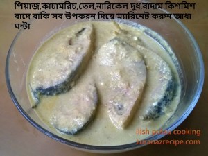 Ilish/Hilsha Polau