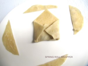 SPRING ROLL WRAPPER