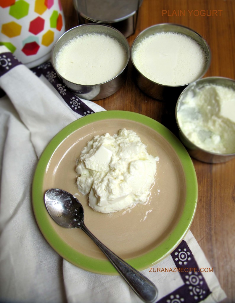 plain yogurt-zuranazrecipe.com.
